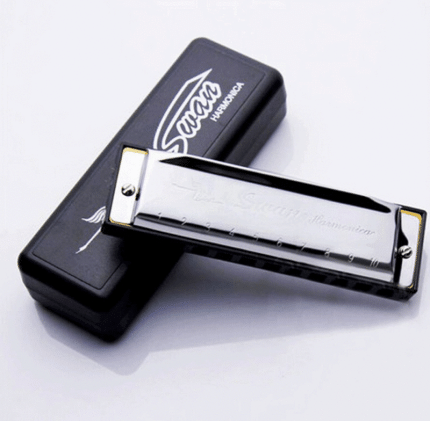 Harmonica 10 Holes Key of C for Blues Rock Jazz Folk + Case Silver